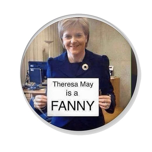 Gifts & Gadgets Co. Theresa May Is A Fanny - Imán Redondo para ...