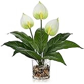 Fake Flowers in Vase 15.8" White Anthurium Artificial Flowers with Vase Tropical Flowers Artificial Realistic Faux Flower Glass Silk Flower Arrangements for Home Bathroom Kitchen Table Centerpiece