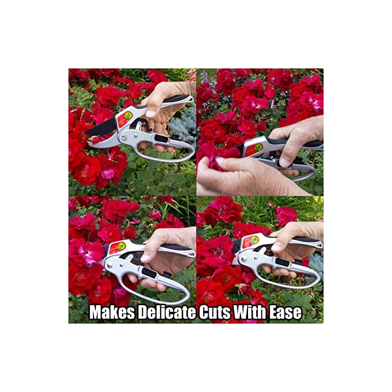 Secateurs, Ratchet Anvil Style Shears, Made For Weak Hands But Strong