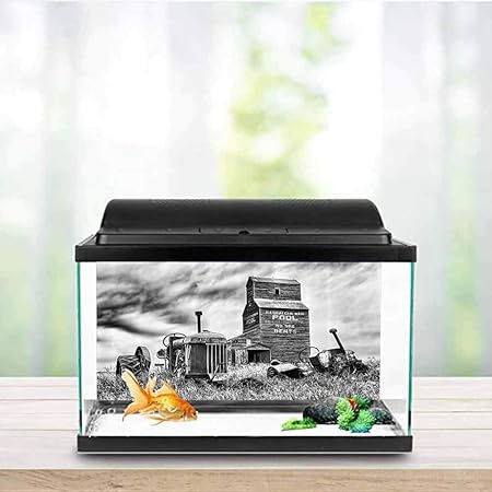 aquarium decorations canada