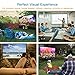 PERLESMIT Portable Projector Screen 100 Inch 16:9 Widescreen for Outdoor Indoor Movie Home Theater Cinema, Rolled Up PVC Anti-Crease Diagonal Full HD 4K 3D Projection Screen Wrinkles Free