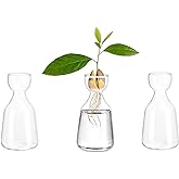 Glasseam Glass Avocado Vase: Acorn Vase for Bulb Growing Set of 3 Clear Small Bud Vases for Home Decor Hydroponic Plant Propagation Jar for Flowers Stems Clippings