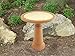 Tierra Birds and Beyond 4-1763T Semi-Gloss Bird Bath Bowl with Brown Matte Rim, Ivory