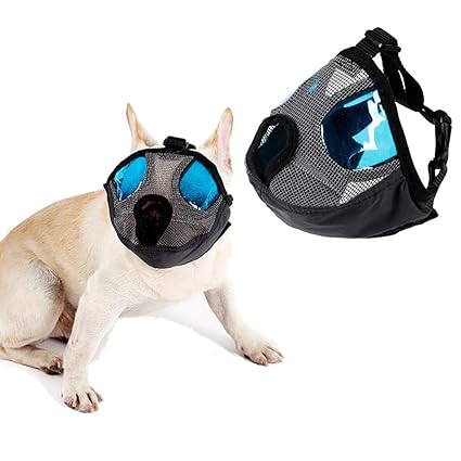 chihuahua muzzle amazon