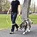 Wagtime Club Double Handle Dog Leash, 6ft Long Heavy Duty Dog Leash with Paded Traffic Handles for Extral Control and Training, Dual Handles Leads, Large Medium Small Dogs (Reflective Neon Green)