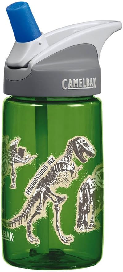 camelbak dinosaur bottle
