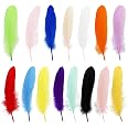 50 Pieces Silver Craft Feathers - 6-8 Inch Decorative Feathers For Wedding, Party, DIY Decor - View #5