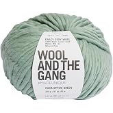 WATG Wool and The Gang Crazy Sexy Wool 200g 80m 87yd - Eucalyptus Green