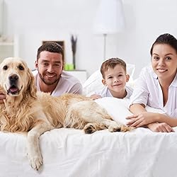 HOMEIDEAS 6 Pieces Lightweight Easy Care Microfiber