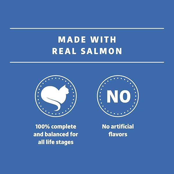 AMAZON BRAND – WONDER BOUND CANNED WET CAT FOOD (SALMON RECIPE IN GRAVY), NO ARTIFICIAL FLAVORS, ADULT RECIPE, 3 OUNCE (PACK OF 24)