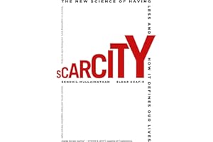 Scarcity: The New Science of Having Less and How It Defines Our Lives