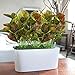 GTIDEA 2pcs Artificial Greenery Plants Silk Gold Leaf Fake Shrubs Faux Realistic Bushes DIY Floral Arranging Home Kitchen Dining Table Garden Wedding Mini Pot Outdoor Decor