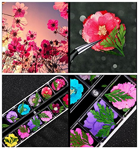 XICHEN Nail Art Accessories 12-color three-dimensional nail dry flowers 36 Starry + 36 five flower+36 Beauty cherry, Zou Ju with leaves