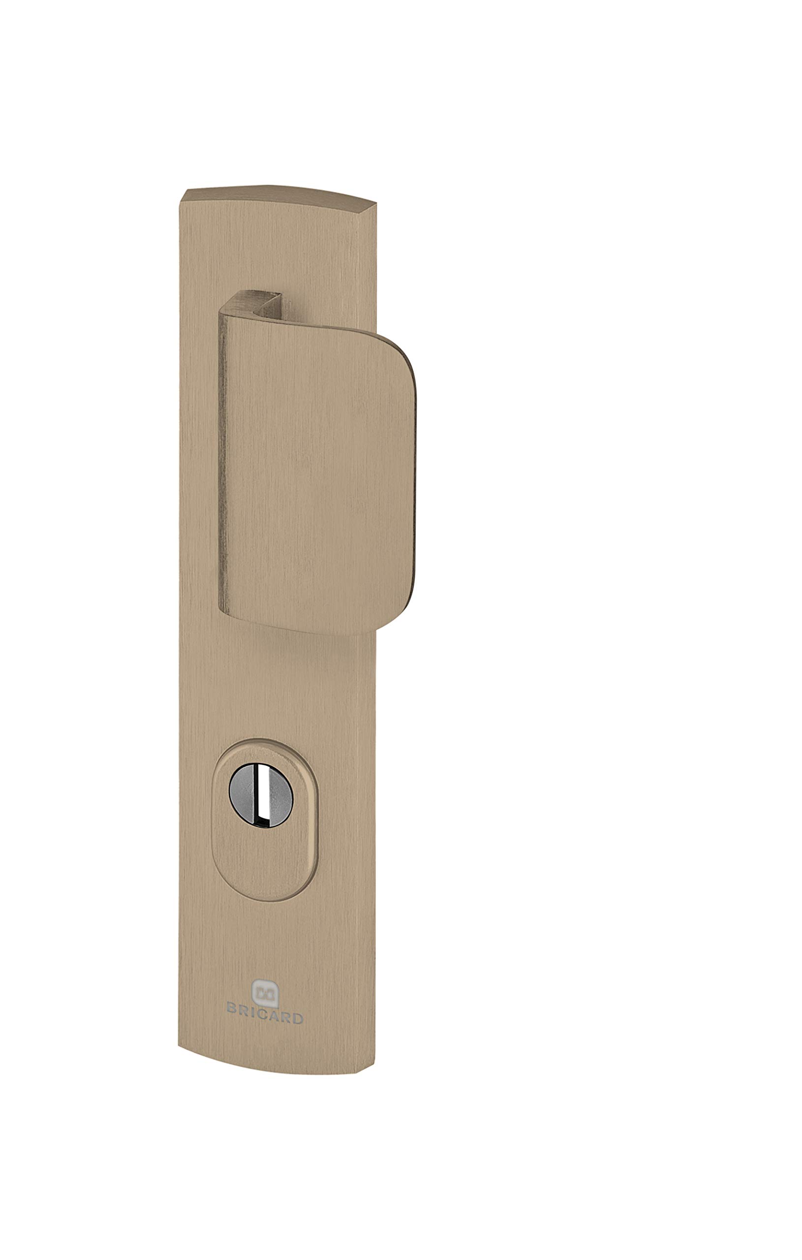 Bricard Emust 9920091 Set of Shielded Handles on Plate Bicycle Kickstand + Spoiler for Entrance Door (for European Cylinder), Amber