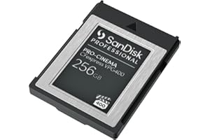 SanDisk Professional 256GB PRO-Cinema CFexpress VPG400 Type B - High-Performance Camera Card - SDPCVN4-256G-GNANN