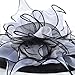 Women Organza Kentucky Derby Church Dress Fascinator Wide Brim Wedding Tea Party Hats (Floral White)