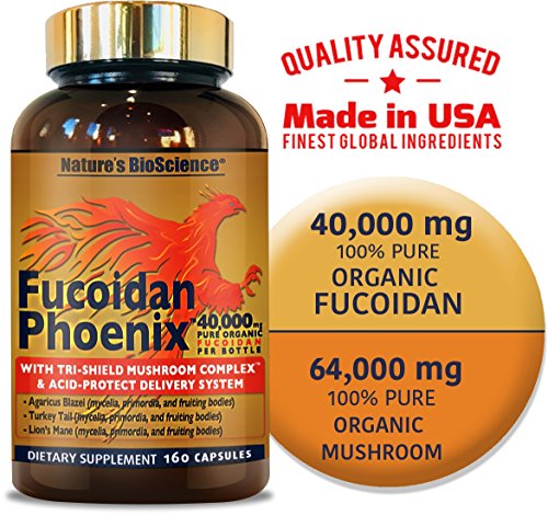 FUCOIDAN Phoenix by Nature's BioScience® : 40,000 mg of Pure Fucoidan + 64,000 mg of Pure Mushroom (Best Sarcoidosis Doctors In The World)