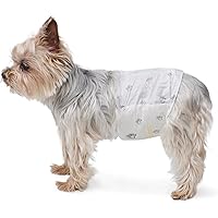 鶹 Basics Male Dog Diapers, 30 Count, X-Small, Ultra Absorbent Disposable Wrap with Secure Fit, Leakproof and Comfortable