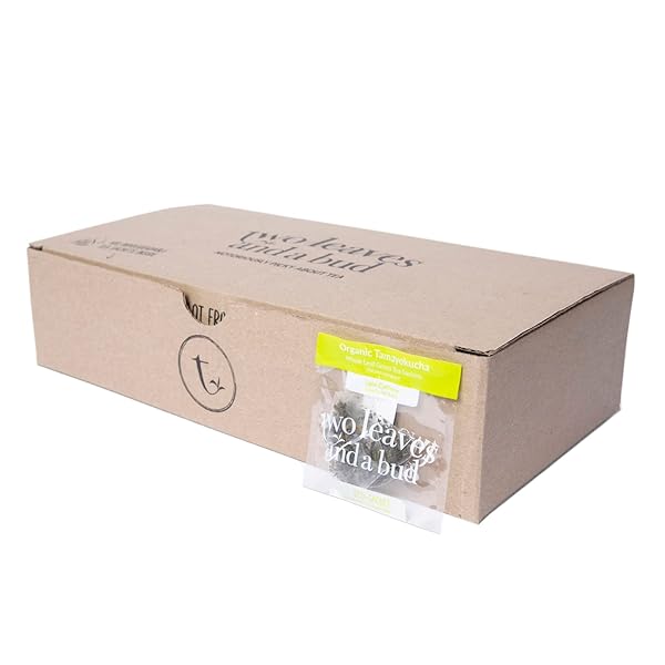 TWO LEAVES AND A BUD ORGANIC TAMAYOKUCHA GREEN TEA BAGS, WHOLE LEAF GREEN TEA IN COMPOSTABLE SACHETS, JAPANESE GREEN TEA, LIGHT FLAVOR, 100 COUNT (PACK OF 1)