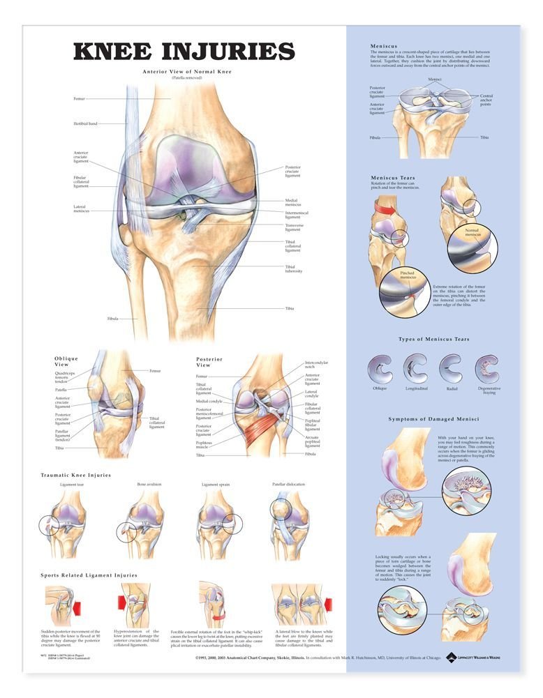 Knee Injuries