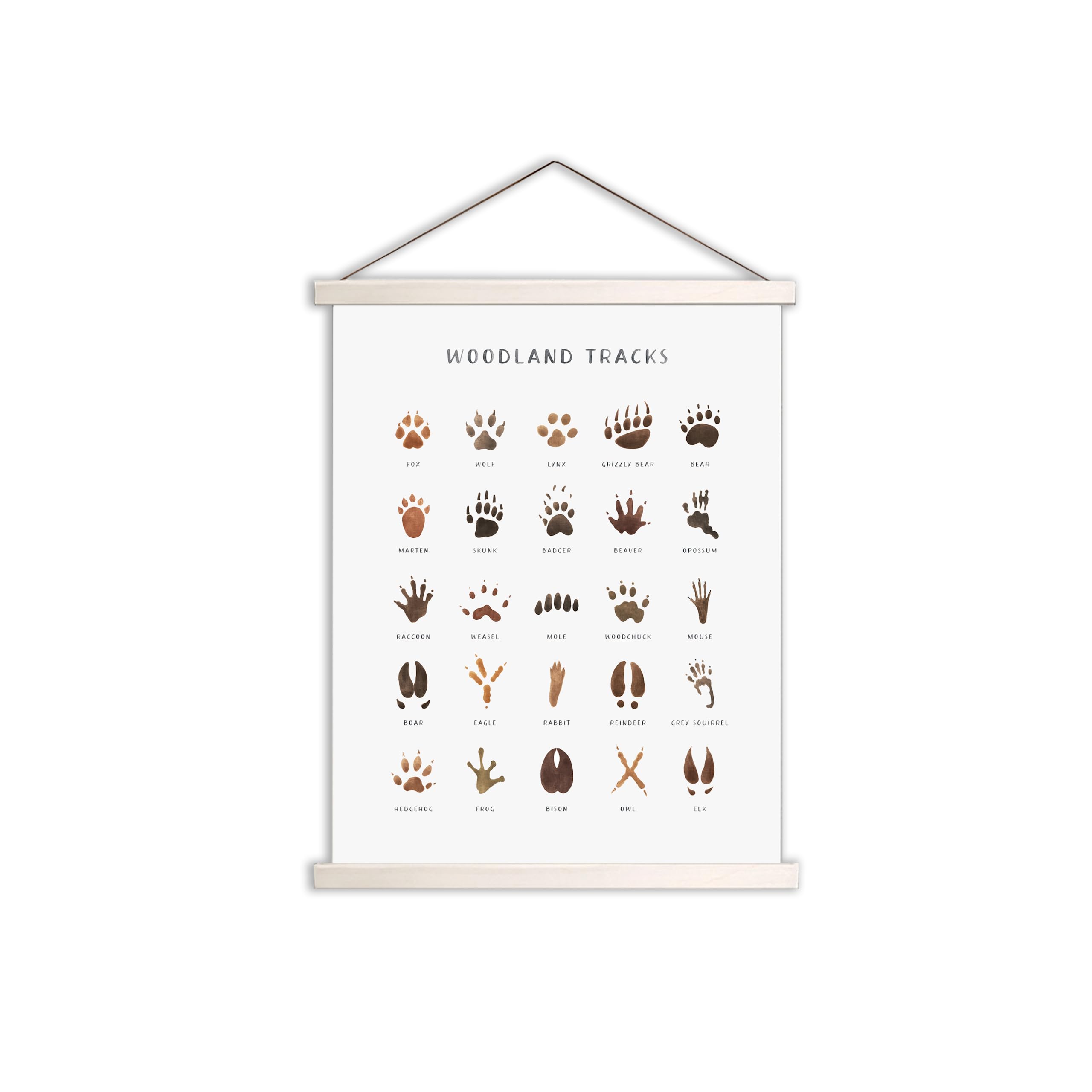 Photo 1 of Woodland Tracks Hanging Poster, Canvas Artwork - Forest Animal Tracks Field Guide Sign, Boy & Jungle Nursery Wall Decor - 16x20 Inch