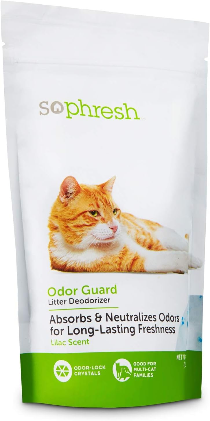 finch breeder near me