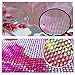Hot Sale!!5D Embroidery Paintings Cross Stitch Rhinestone Pasted DIY Diamond Painting (C)