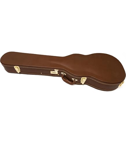 Epiphone Case for Epiphone Les Paul Standard & Custom Case