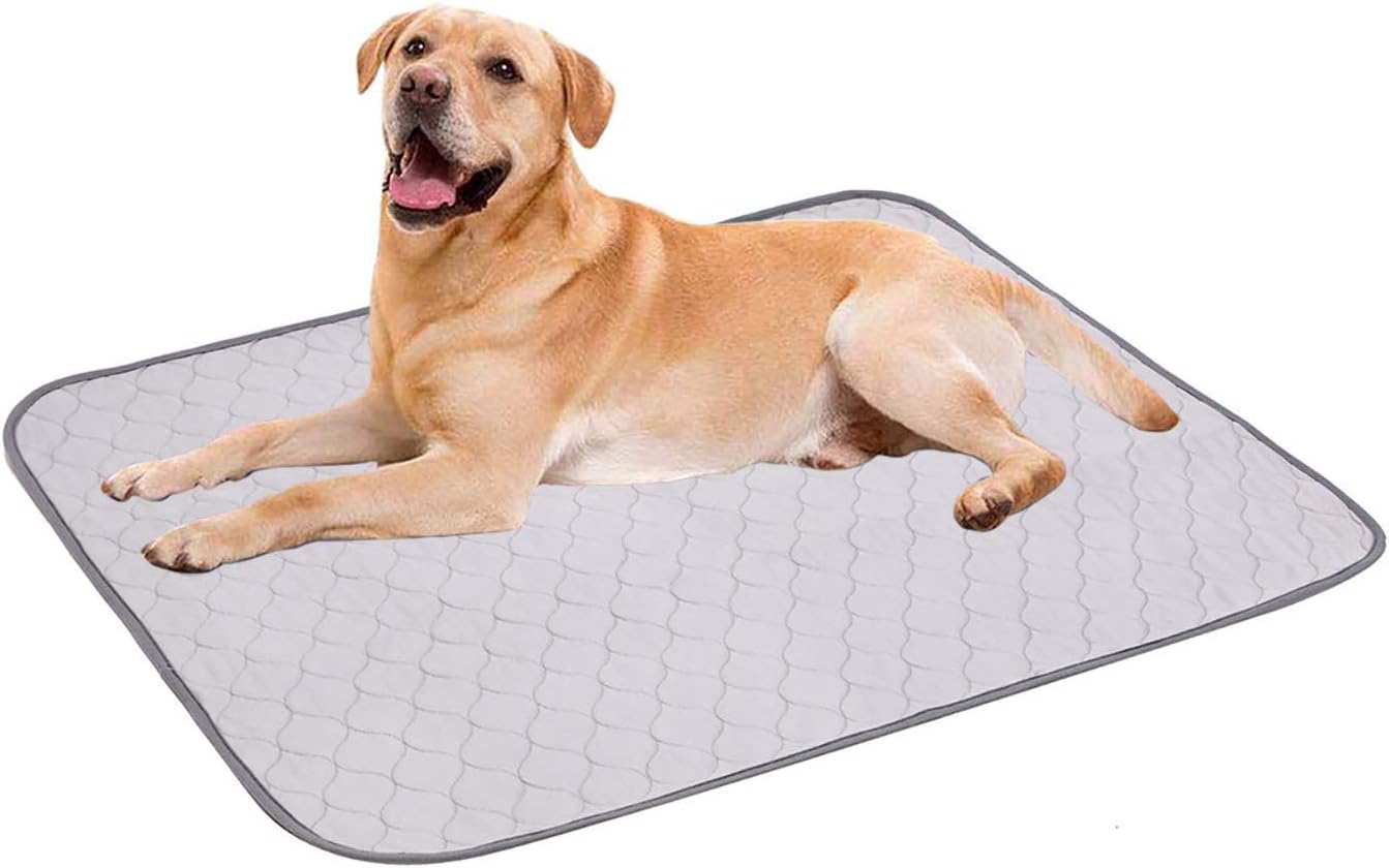 Geyecete Waterproof Dog Mat NonSlip 2 Pack Puppy Potty Training Pads