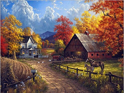 5D DIY Diamond Painting Full Square Drill Village Farm Rhinestone Embroidery for Wall Decoration (4050)