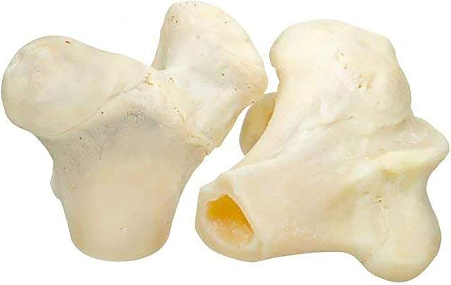 Pawstruck White Knuckle Dog BonesBulk Dental Treats Chews 50 Bone(s