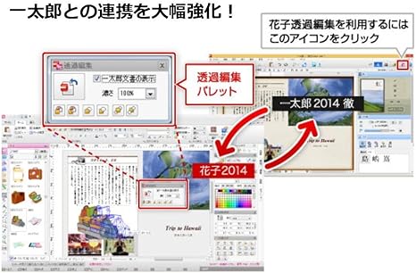 Amazon 花子14 通常版 グラフィック統合ソフト ソフトウェア