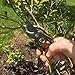 Premium Bypass Pruning Shears- 8'' Professional Hand Pruner- Heavy Duty Garden Clippers- Sharp Blades - Lightweight Tree Trimming Tool
