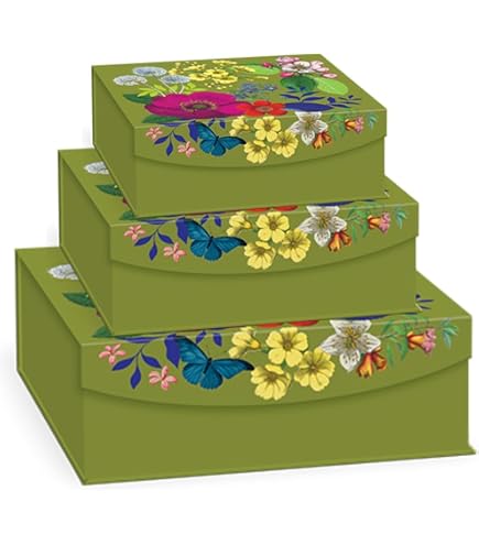 Amazon.com: Punch Studio Rectangle Flap Box Set of Three (52818N