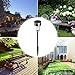 Stripsun LED Solar Garden Lights, [12 Pack] Stainless Steel Outdoor Solar Landscape Lights / Pathway Lights for Lawn, Yard, and Driveway