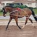 Hunters Saddlery Ultimate Horse Lunging Training Aid System Lunge Equipment - Pony, Cob/Horse, Draft Size