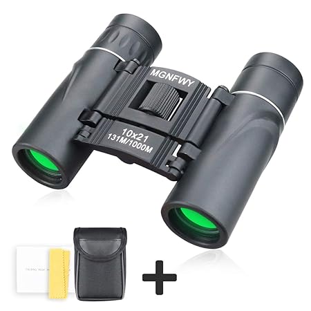 Fernglas für Kinder/Erwachsene, 30 x 60, kleines Fernglas mit Nachtsicht-Funktion, wasserfest, zusammenklappbar, HD Optisches