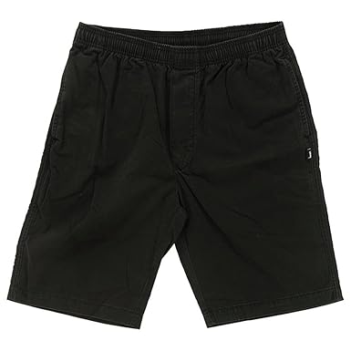 stussy brushed beach short