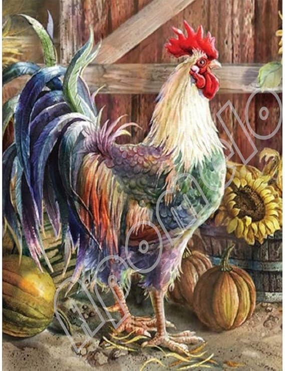 Apomelo 12×16 inches Diamond Painting by Numbers Rooster