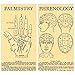 Homart Large Decorative Matches In Phrenology and Palmistry Box, Set of 2