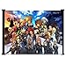 Wall Scrolls 1 X Kingdom Hearts 2 Final Mix Game Fabric Poster ;21 X 16; Inches