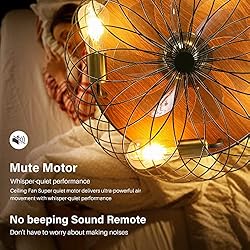 REDSTAR Modern Low Profile Cage Ceiling Fan with