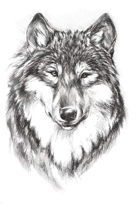 Amazoncom Poster Foundry Wolf Face Portrait Artistic Black
