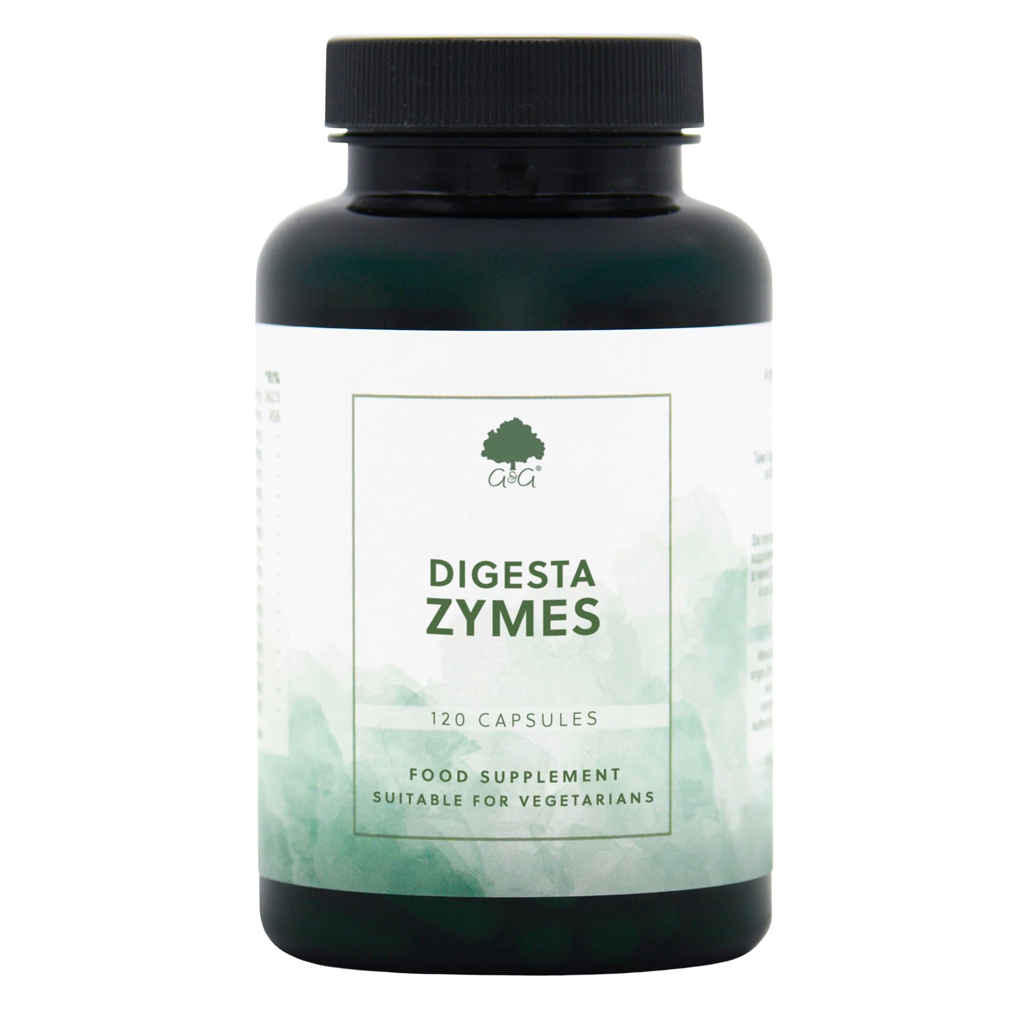 Digesta Zymes - Digestive Enzyme Supplement - Lipase, Protease, Trypsin, Ginger Root, Bromelain - 120 Vegetarian Capsules - Non-GMO, Made in the UK - G&G Vitamins