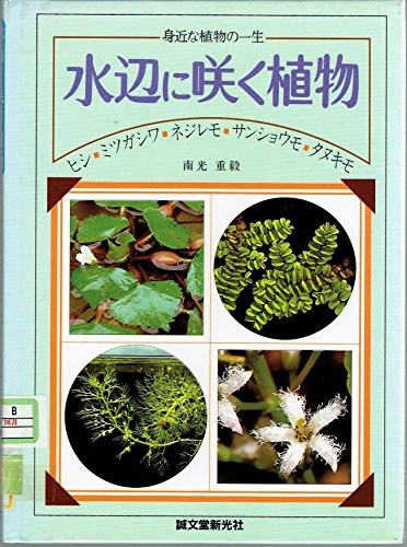 水辺に咲く植物 ヒシ ミツガシワ ネジレモ サンショウモ タヌキモ 身近な植物の一生 重毅 南光 本 通販 Amazon 水辺に咲く植物 ヒシ ミツガシワ ネジレモ サンショウモ タヌキモ 身近な植物の一生 重毅 南光 本 通販 Amazon
