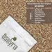 Tealyra - 911 Detox - Dandelion - Beetroot - Ginger - Peppermint - Cleanse Digestive Herbal Loose Tea - Immune System Booster - Caffeine-Free - All Natural - 112g (4-ounce)