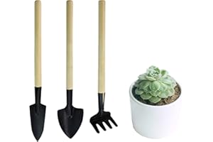 Andiker Mini Gardening Tools, 3pcs Portable Garden Hand Tools Set, Miniature Gardening Rake Trowel and Shovel for Seedlings, Bonsai, Succulents, Herbs, Terrariums and Planting (3pcs)