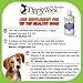 Tippy Toes Pet Boutique Premium Liquid GLUCOSAMINE for Dogs - Hip and Joint Supplement with Chondroitin Hyaluronic Acid and MSM Great for Dogs Arthritis Joint Aid Pain Relief and Hip Dysplasia.