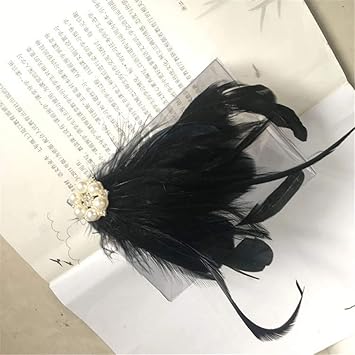 Amazon Com Axedenrrt 1 Pc Indian Bride White Feather Tiara Hair