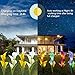Solar Garden Lights Outdoor, 2 Pack Solar Powered Lights with 8 Lily Flower, Multi-Color Changing LED Solar Stake Lights for Garden, Patio, Backyard (White/Yellow)
